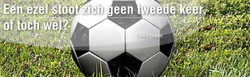 Een ezel stoot zich geen tweede keer, of toch wel?