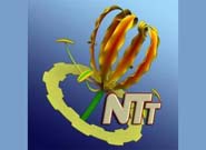 *