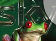 *